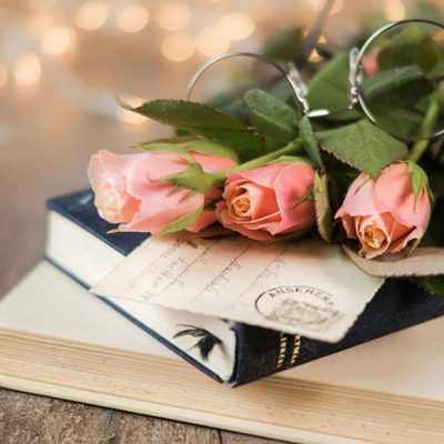 The Best Books for Cozy Weekend Reading